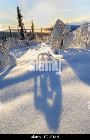 winterliche Landschaft in schneebedeckte Stubba Natur Reservatoin Laponia Lappland Norrbotten Schweden Skandinavien Europa Winter Stockfoto