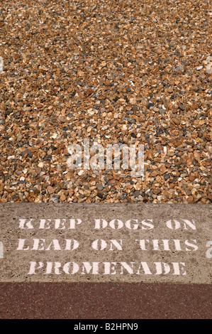 Halten Sie Hunde an Blei Zeichen Schablone auf einem Bürgersteig neben einem Strand Stockfoto