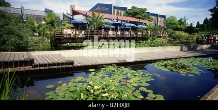 Geographie / Reisen, Deutschland, Baden-Württemberg, Mannheim, Gärten und Parks, Luisenpark, See, Teich, Seerose, Promenade, Rest Stockfoto