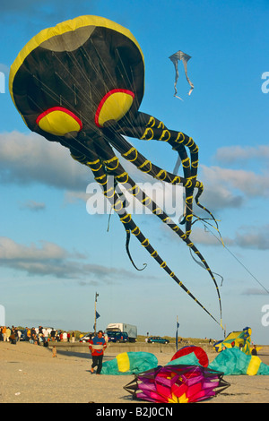 Kite Kite Festival Strand Osten friesische Ilsands Norderney Deutschland Stockfoto