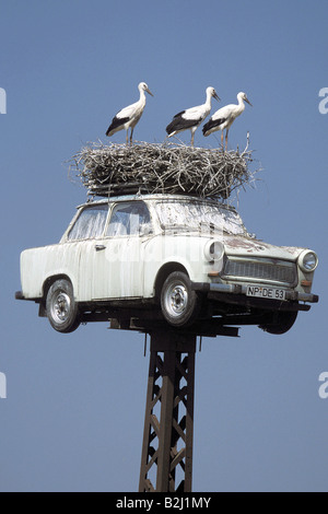 Zoologie / Tiere, Vogelgrippe / Vogel, Störche, Weißstorch (Ciconia Ciconia), fliegen weg von Nest, die jungen im Nest, Neuruppin, Deutsch Stockfoto