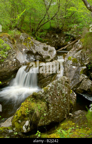 Brook Wald Kaskade Glencoe Highlands Schottland Stockfoto