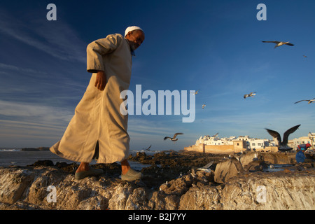 ein Mann auf dem Deich mit Möwen fliegen über Essaouira an der atlantischen Küste, Marokko Stockfoto