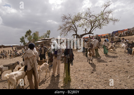 Markttag in Lalibela, Äthiopien. Stockfoto