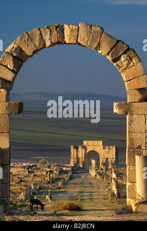 das Tanger Tor und Triumphbogen ein Bauer mit seinem Esel in der antiken römischen Ruinen in Volubilis, Marokko Stockfoto