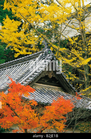 Nahaufnahme eines Bambus-Dachs Herbst Bäumen umgeben Stockfoto
