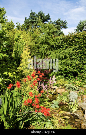 ROTE CROCOSMIA UND STREAM-SEITE IN EINEN ENGLISCHEN GARTEN PFLANZEN Stockfoto