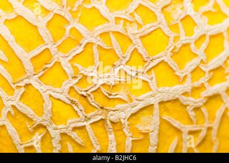 Horizontale Makro Nahaufnahme der gemusterte Haut einer Reife Galia-Melone Stockfoto