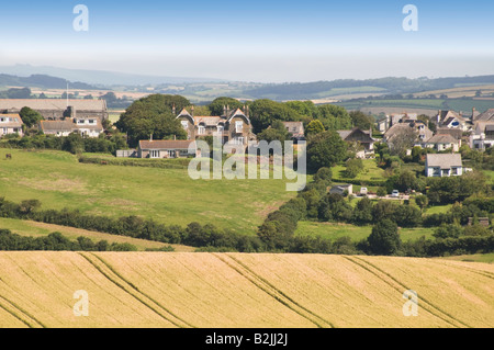 Blick über Devon Landschaft mit Wiesen und Ackerland Stockfoto