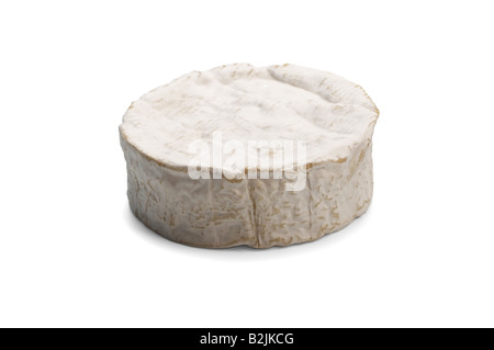 Camembert Käse Stockfoto