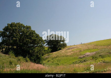 Westlichen Iowa Löss bedeckten Hügeln typische Szene Stockfoto