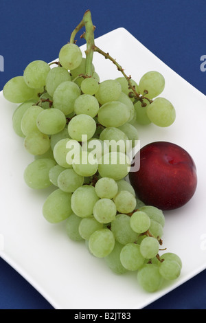 Nahaufnahme eines Bündels grüner Trauben und einer Pflaume auf einem weißen Teller vor einem schlichten blauen Hintergrund, Großbritannien Stockfoto