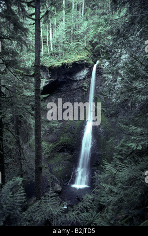 Marymere Falls ist ein Wasserfall befindet sich in der Olympic National Park in der Nähe von Lake Crescent in Washington, Vereinigte Staaten von Amerika. Stockfoto