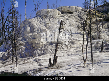 Geographie/Reisen, USA, Wyoming, Landschaften, Yellowstone National Park, Mammoth Hot Springs, neue Highland Terrasse, Additional-Rights - Clearance-Info - Not-Available Stockfoto