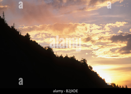 Sonnenaufgang am Grandfather Mountain in North Carolina Stockfoto