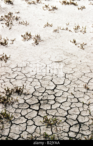 Ausgetrockneten Boden auf einem Flusslauf in East Gippsland Victoria Australien Stockfoto