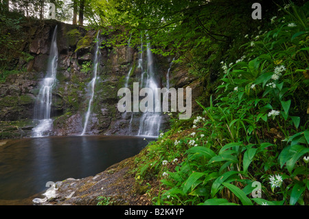 Ess Na Crub Wasserfall Glenariff Glen Ariff Waldpark in der Nähe von Cushendall County Antrim Nordirland Großbritannien GB EU Europa Stockfoto