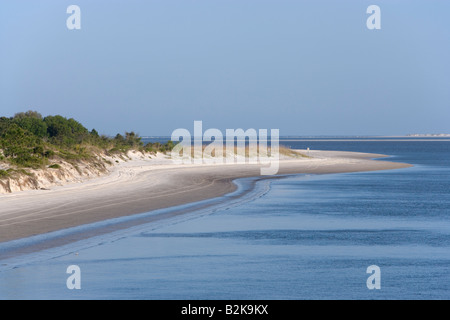 Big Talbot Island State Park in der Nähe von Amelia Island, Florida Stockfoto