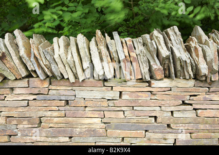 Trockenmauer an "The National Botanical Gardens of Wales", Llanarthne, Carmarthenshire, Wales, UK Stockfoto