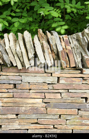 Trockenmauer an "The National Botanical Gardens of Wales", Llanarthne, Carmarthenshire, Wales, UK Stockfoto