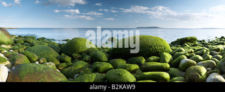 Grün rockt am Osmington in Richtung Portland am Horizont in Dorset county England UK Stockfoto