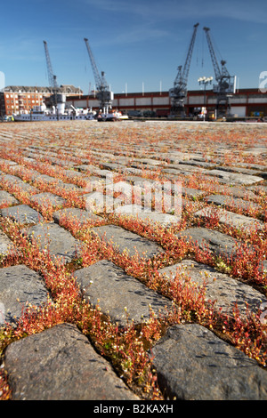 Altes Kopfsteinpflaster und Kräne bei Bristol City docks, England, UK Stockfoto