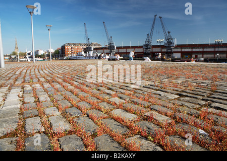 Altes Kopfsteinpflaster und Kräne bei Bristol City docks, England, UK Stockfoto