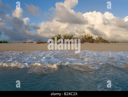 11 Mile Beach auf Barbuda s Westküste A schäumende Welle ist wieder ins Meer zurück. Stockfoto