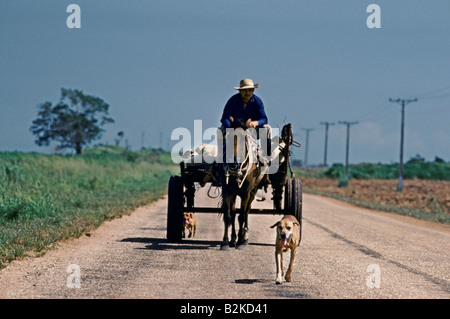 MANN AUF EINEM WAGEN, GEZOGEN VON EINEM PFERD MIT ZWEI HUNDEN, DIE ZU FUß IN DER FRONT UND AUF DER RÜCKSEITE Stockfoto