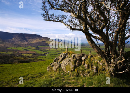 Comeragh Mountains von Croaghaun Hügel, Grafschaft Waterford, Irland Stockfoto