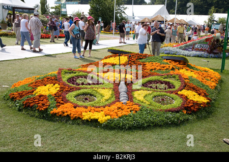 RHS Flower Show an Tatton Park 2008 - Blumenbeet - Schmetterling Stockfoto