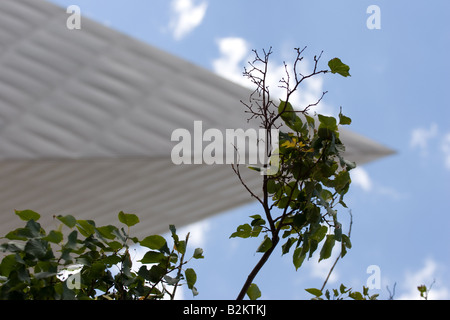 Aufwärts durch einen Baum in einem Abschnitt des Denver Art Museum. Stockfoto