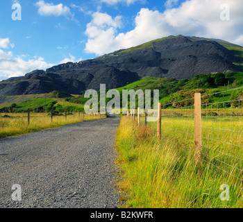 Ackerland in Llanberis in Gwynedd Nord-Wales am nördlichen Ende der Llanberis Pass und der Snowdon Mountain range Stockfoto