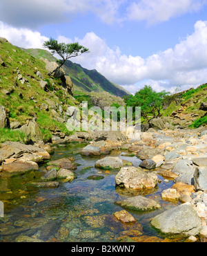 Afon Nant Peris als es fliesst durch Llanberis Pass in Gwynedd Nord-Wales zwischen Snowdon Mountain Range und Y Glyderau Stockfoto