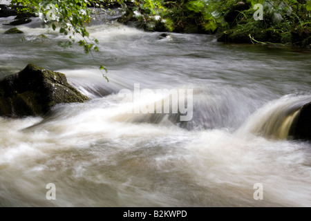 Wasser Kaskadierung über Felsblöcke in einem Wald-Fluss Stockfoto
