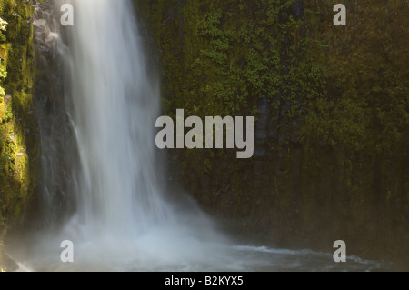 Ein rauschender Wasserfall fällt unter hellgrün, Moos bedeckte Felsen im gefleckten Nachmittag Sonnenlicht in Oregon, USA. Stockfoto