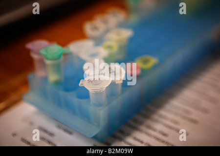 Sitzbank Laborgeräte zur DNA-Analyse Proben befinden sich im kleinen Plastik Ampullen mit Kappen gespeichert in Kunststoff-racks Stockfoto