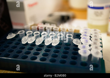 Sitzbank Laborgeräte zur DNA-Analyse Proben befinden sich im kleinen Plastik Viles mit Kappen gespeichert in Kunststoff-racks Stockfoto