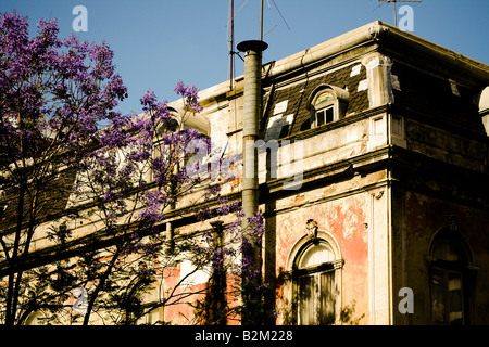 Lissabon-Himmel mit jacarandas Stockfoto