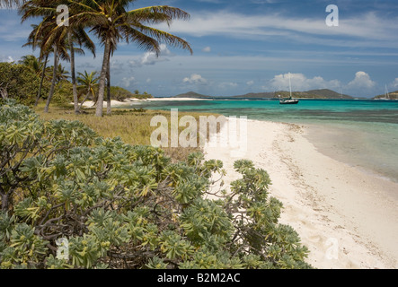 Ein einsamer Kreuzfahrt-Segelboot bei Petit Tabac Insel in den Tobago Cays St. Vincent und die Grenadinen Stockfoto