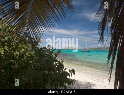 Ein einsamer Kreuzfahrt-Segelboot bei Petit Tabac Insel in den Tobago Cays St. Vincent und die Grenadinen Stockfoto