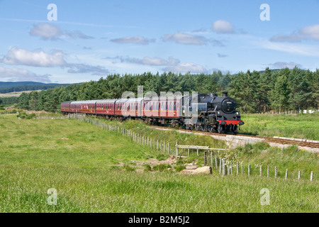 Ein Dampfzug auf der Strathspey Railway ist auf dem Weg zur Broomhill Station von Boat of Garten Stockfoto