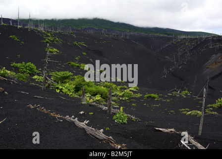 Asche am Hang des Vulkans Tya Tya, Kunaschir Insel Inseln Kurilen Fernen Osten Russlands. Stockfoto