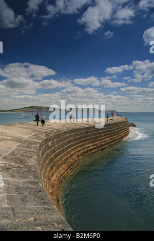 Besucher und Fischer auf The Cobb in Lyme Regis, Dorset, Großbritannien Stockfoto