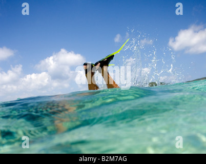 Ein Mann, Schnorcheln in klaren seichten Karibik Wasser alles, was wir sehen, sind die Flossen und seine Unterschenkel ragte aus dem Wasser Stockfoto