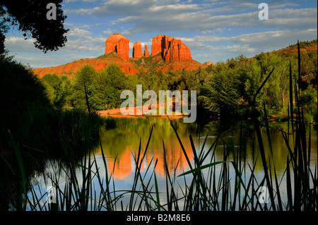 Cathedral Rocks reflektieren in Oak Creek im Oak Creek Canyon Sedona Arizona. Stockfoto