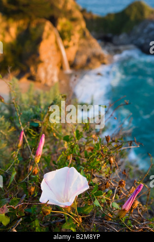 Sonnenuntergang an einem späten Frühlingstag an McWay Falls Julia Pfeiffer State Beach am Big Sur Californa Stockfoto