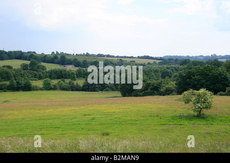 Die Schlacht von Hasting wurde hier im Jahre 1066 Stockfoto