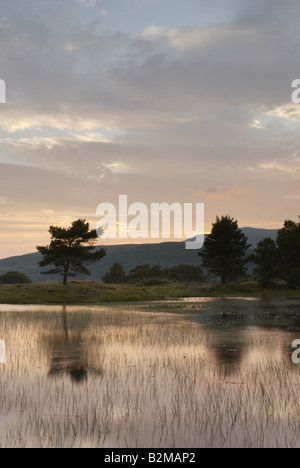 Abends spät Reflexion Abendlicht bei Kelly Hall Tarn in der Nähe von Coniston im englischen Lake District Stockfoto