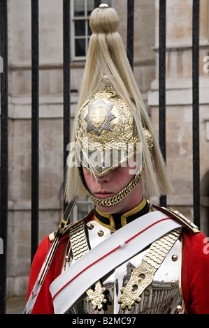 Pferd diensthabenden außerhalb Horse Guards, Whitehall, London Stockfoto